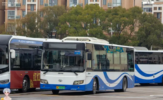 沪A 52207D