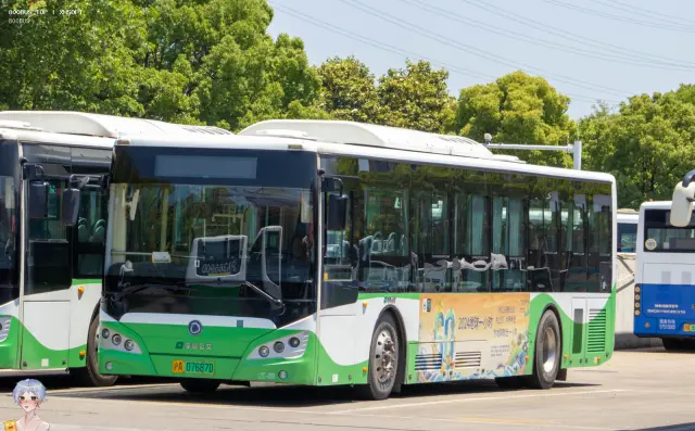 沪A 07687D