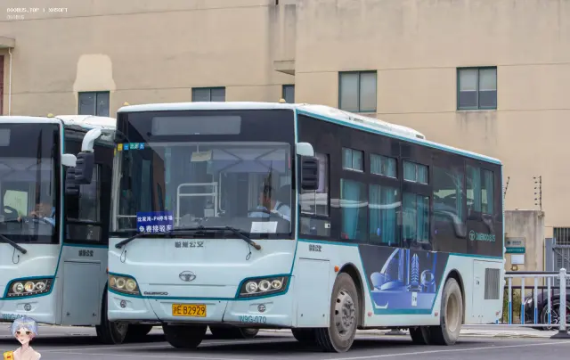沪E B2929
