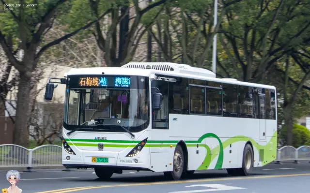 沪A 57313D