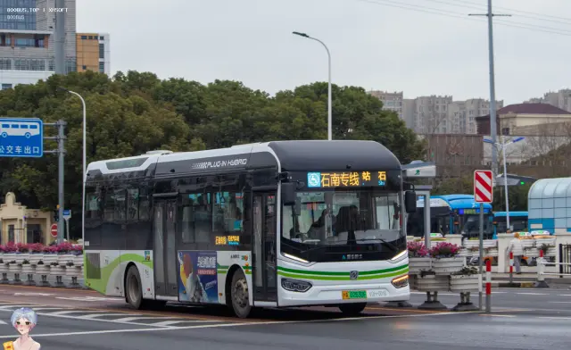 沪A 02630F