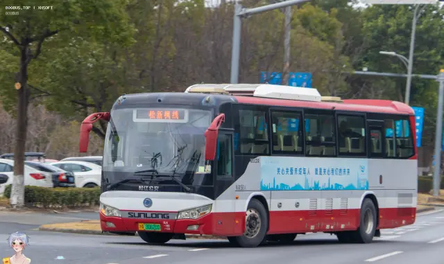 沪A 30620D