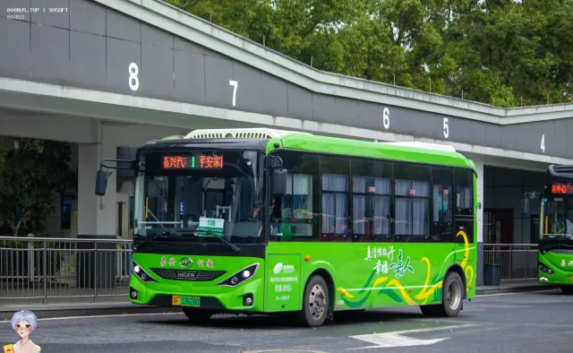 浙F 33628D