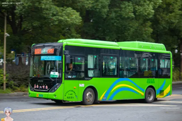 浙F 05637D
