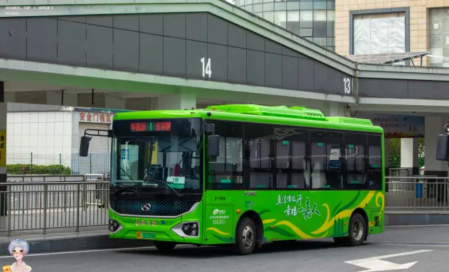 浙F 32399D