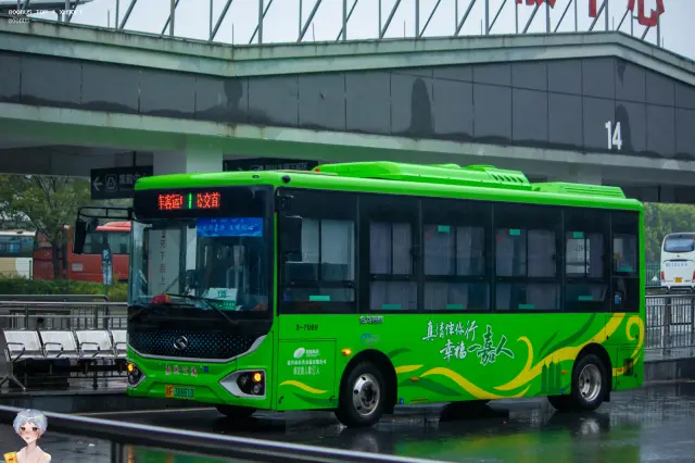 浙F 38861D