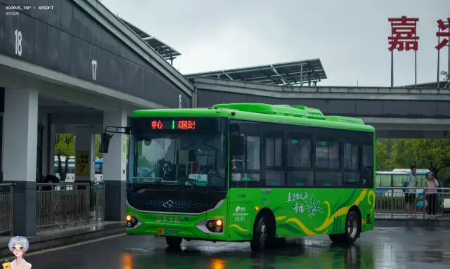 浙F 32399D