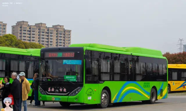 浙F 07710D