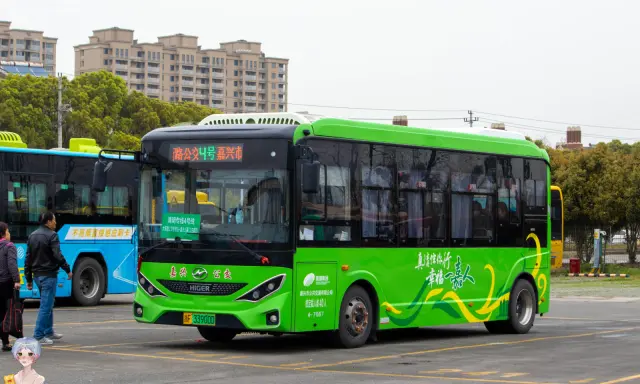 浙F 33900D