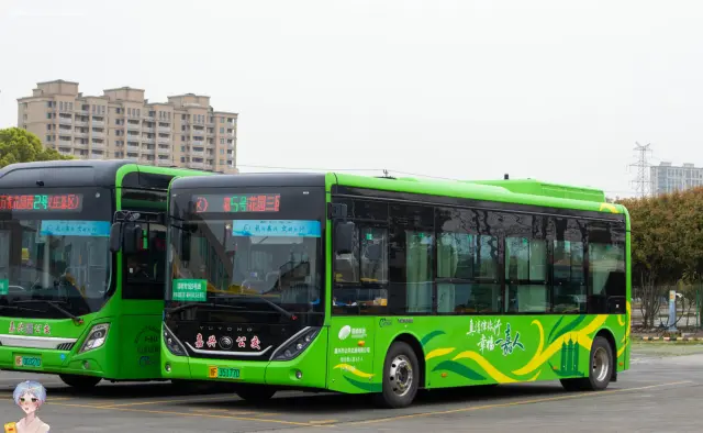 浙F 35177D