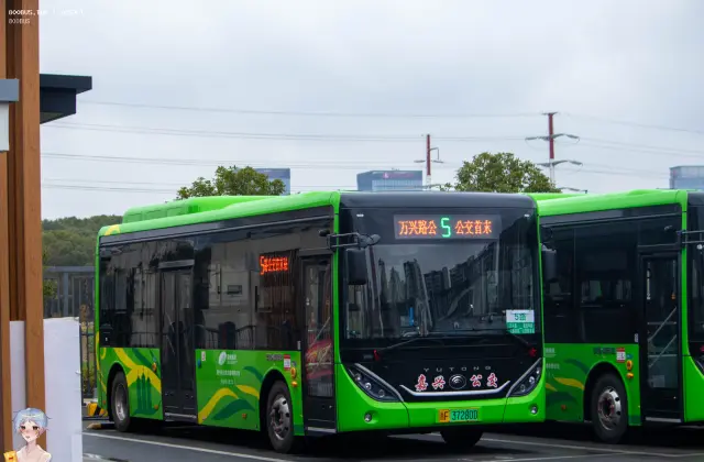 浙F 37280D