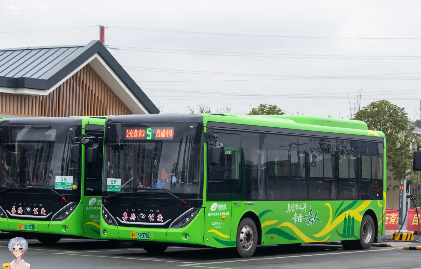 Bus Archive