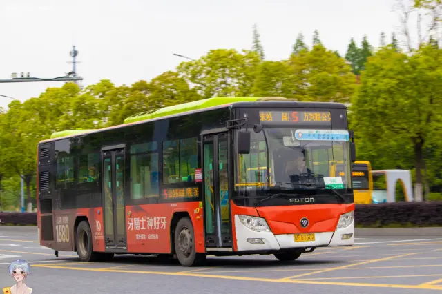 浙F 57602