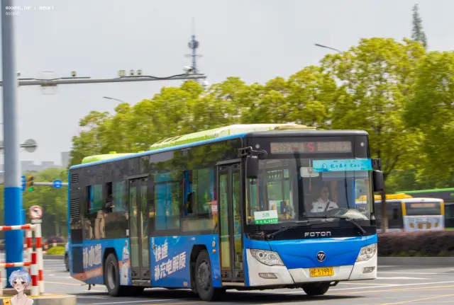浙F 57991