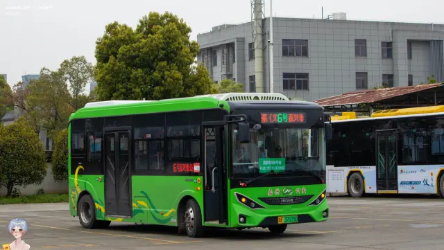 浙F 37115D