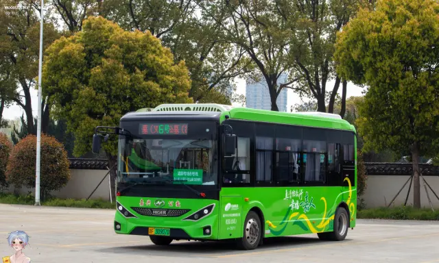 浙F 30907D