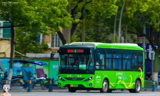浙F 39088D