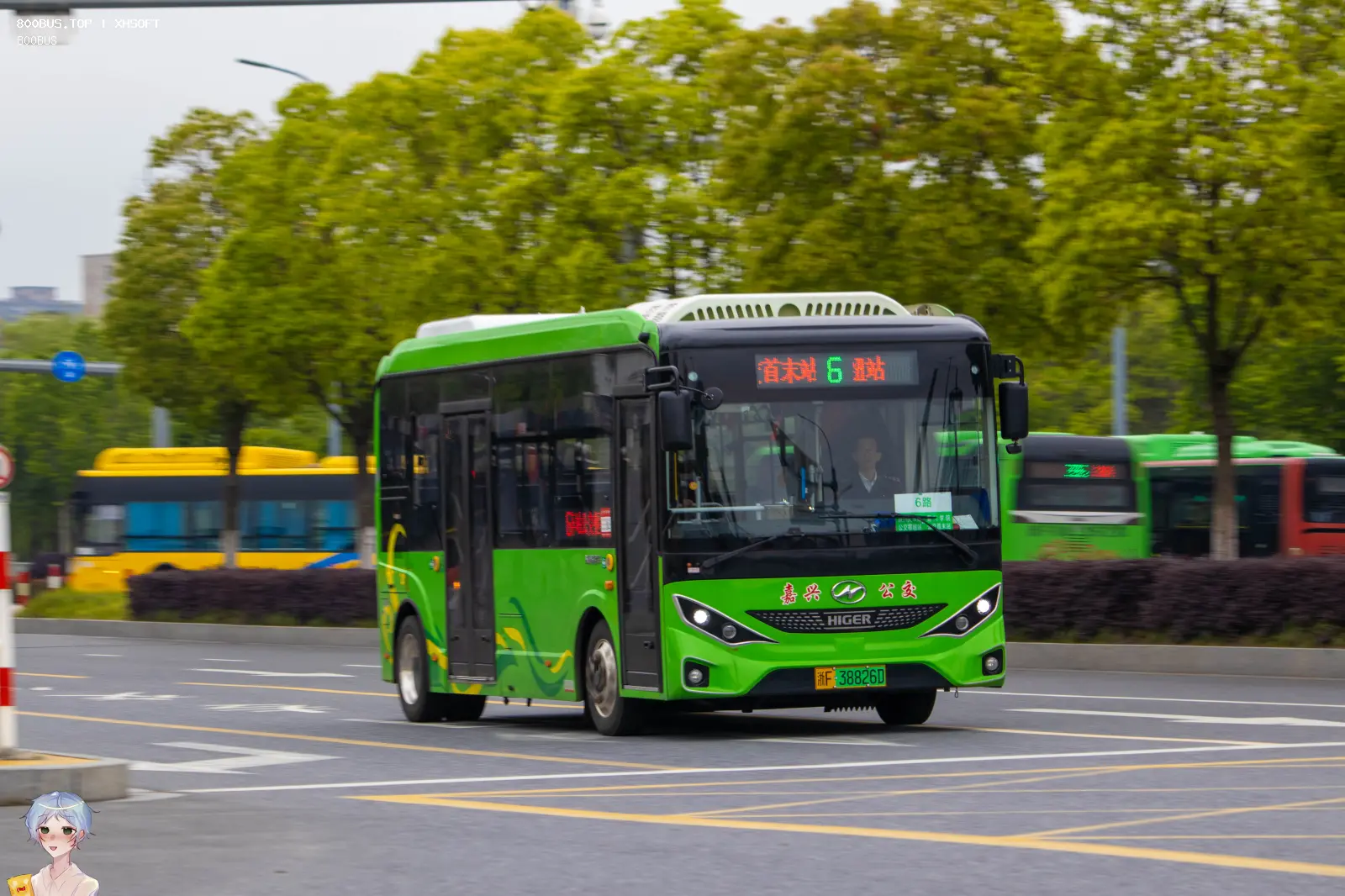 Bus Archive