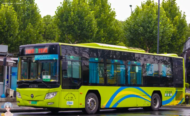 800BUS