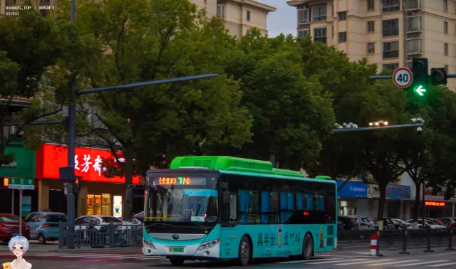 800BUS