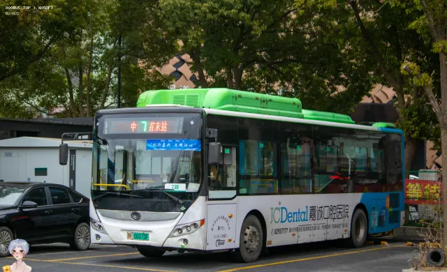 800BUS