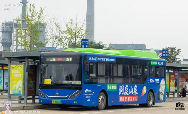 800BUS