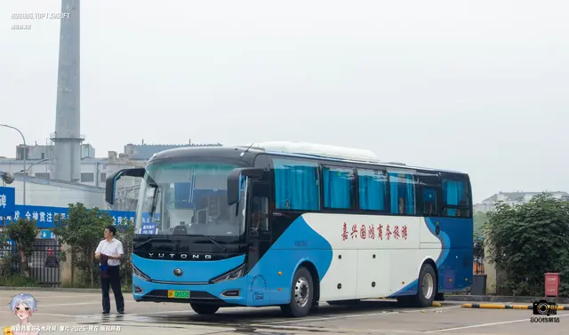 800BUS
