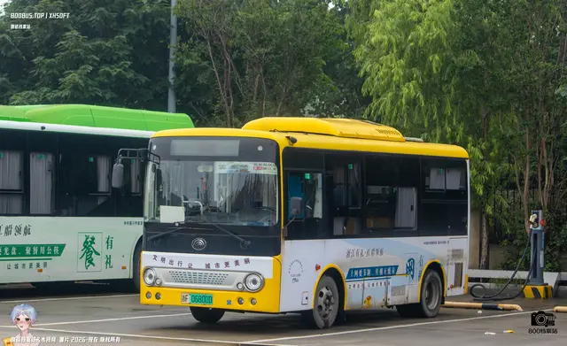 浙F 06800D
