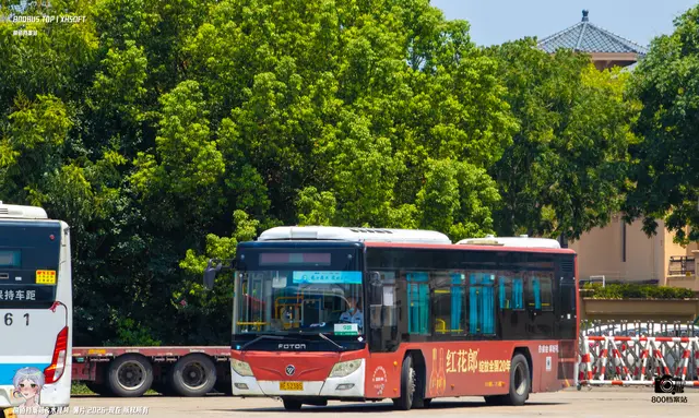 800BUS