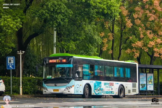 800BUS