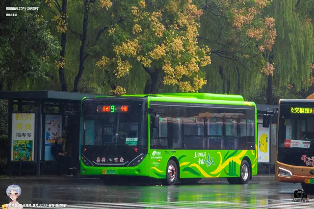 800BUS