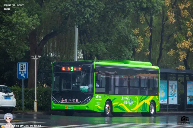 800BUS