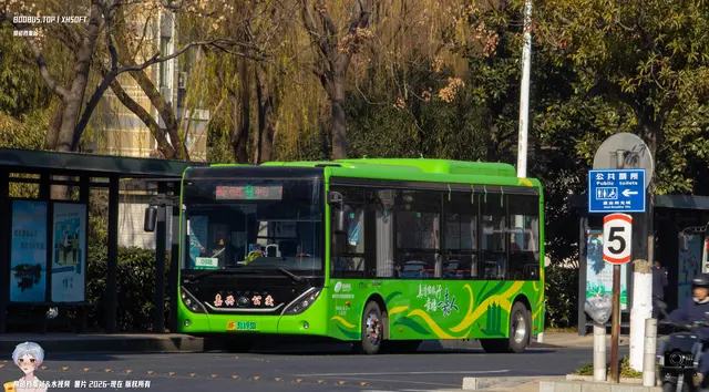 800BUS