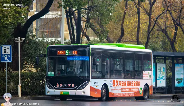 800BUS