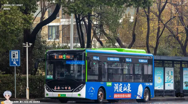 800BUS