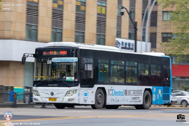 800BUS