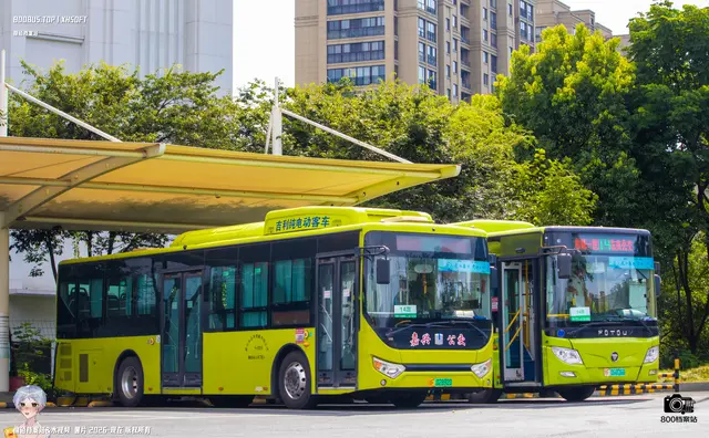 800BUS