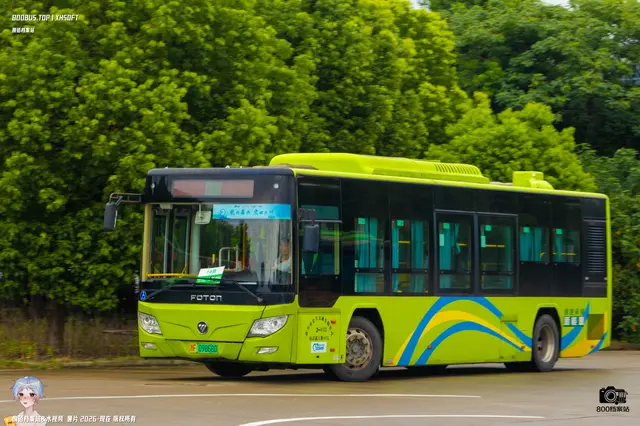 800BUS