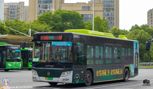 800BUS