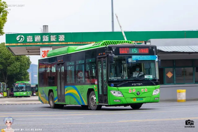 800BUS
