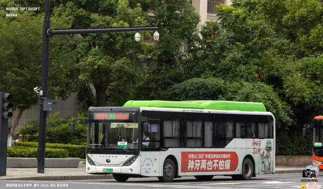 800BUS