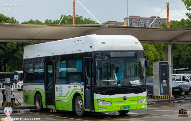 800BUS