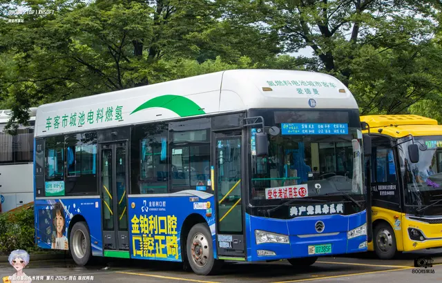 浙F 07385F