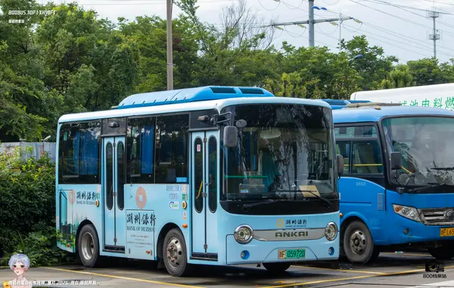 浙F 05972D