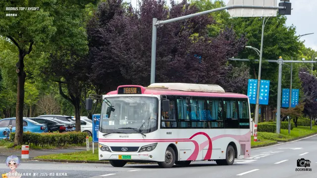 800BUS