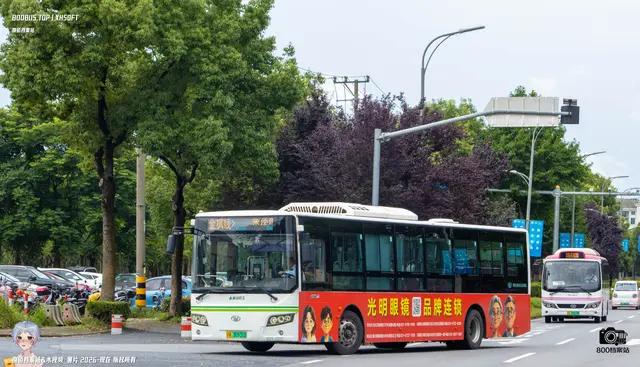 沪A 30931D