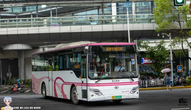 沪A 31511D