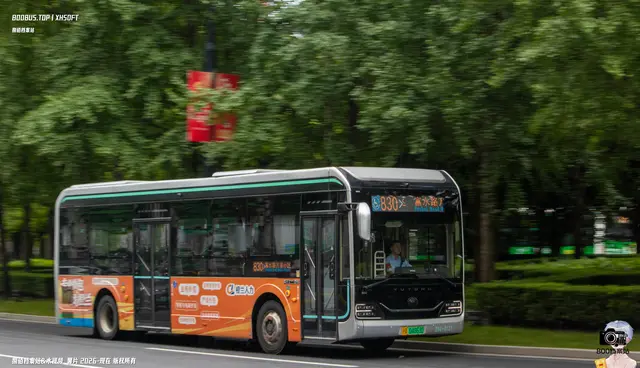 沪A 04863D