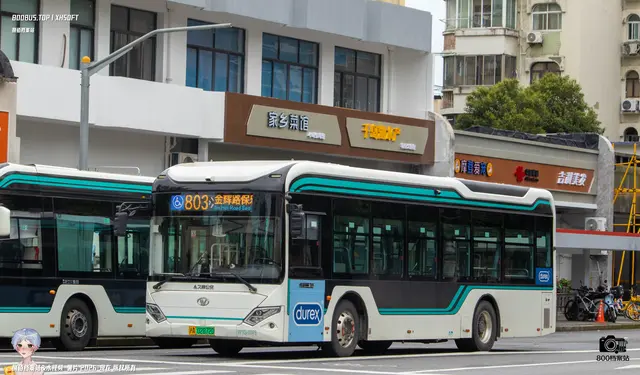沪A 02872D