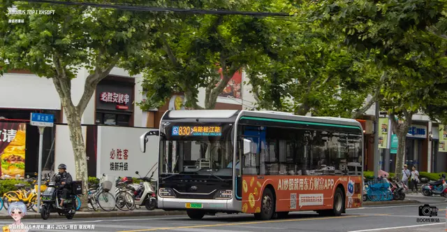 沪A 05298D